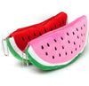 Watermelon Fruit Kids Pen Case